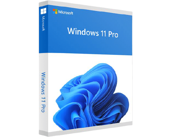 Windows 11 Pro Product Key - Lifetime Validity